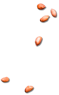 Image Slider 2