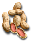 Image Slider 3